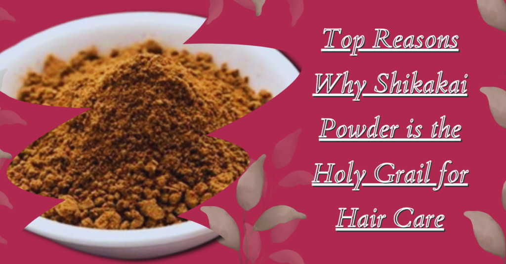 Top Reasons Why Shikakai Powder is the Holy Grail for Hair Care